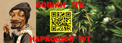 PSILOCYBIN Кандалакша