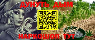 PSILOCYBIN Кандалакша
