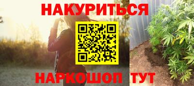 сатива Камышлов