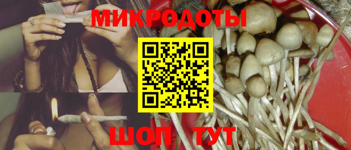 Псилоцибиновые грибы Psilocybine cubensis Гудермес